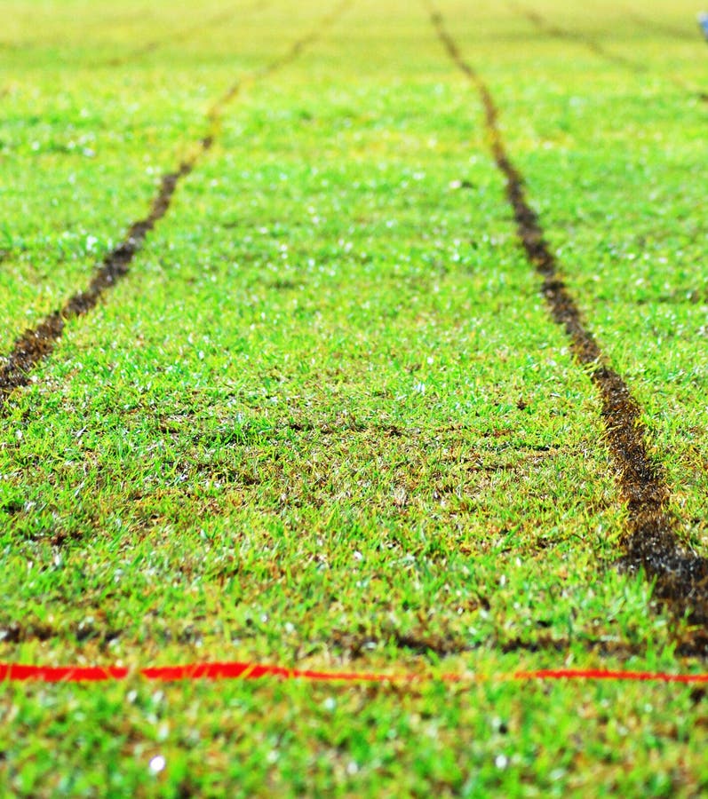 To the Finish Line stock photo. Image of graphic, meadow - 19140568
