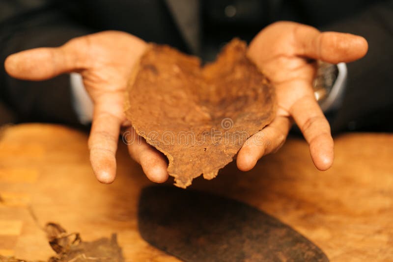 To make a cigar with his hands, sheets for a cigar, handwork