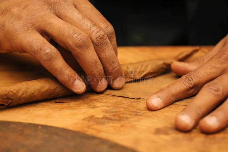 To make a cigar with his hands, sheets for a cigar, handwork