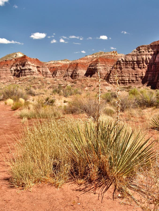 The Toadstools in Southern Utah Stock Image Image of formation