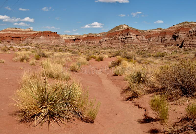 The Toadstools in Southern Utah Stock Photo Image of hiking, utah