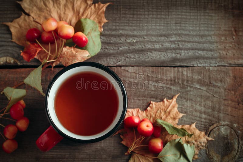 Toamnă cu ceai într-o cupă roșie, mere mici și frunze de arțar de aur pe fond de lemn royalty free stock photo