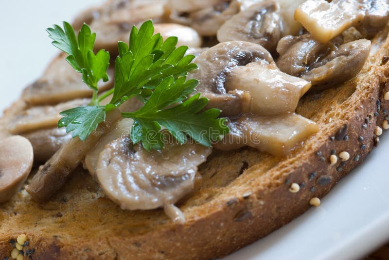 A toast with mushrooms