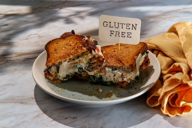 Toasted Chicken Mozzarella Sandwich Stock Photo Image of tomato, daylight 186605218