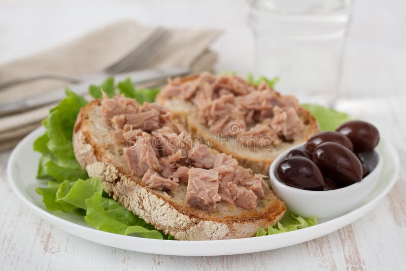 Toasts with tuna stock photo. Image of fish, plate, breakfast 24404454
