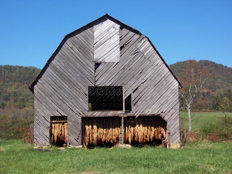 Tobacco Barn stock photo. Image of gray, barn, blue, barns 9658580