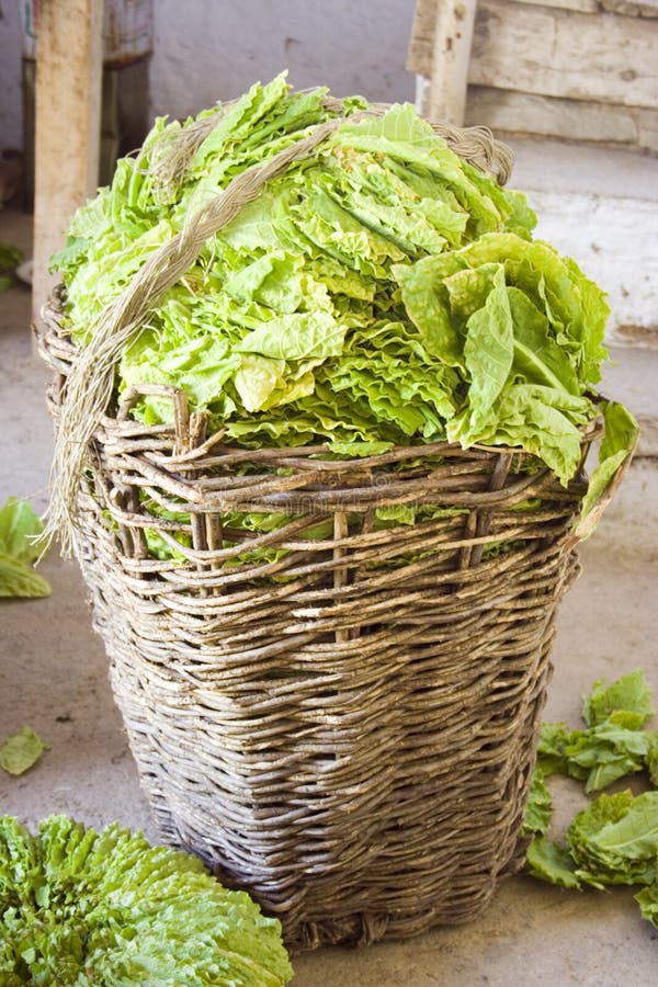 Tobacco in a basket