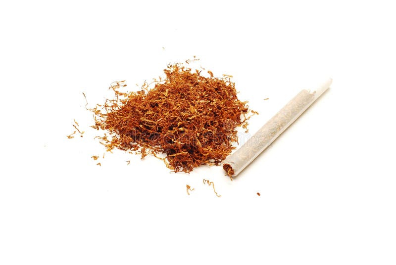 Tobacco and cigar royalty free stock photo Tobacco and cigar royalty free stock photo