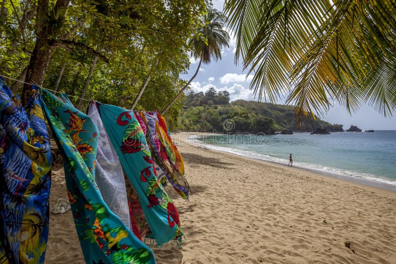Tobago Beach royalty free stock image Tobago Beach royalty free stock image