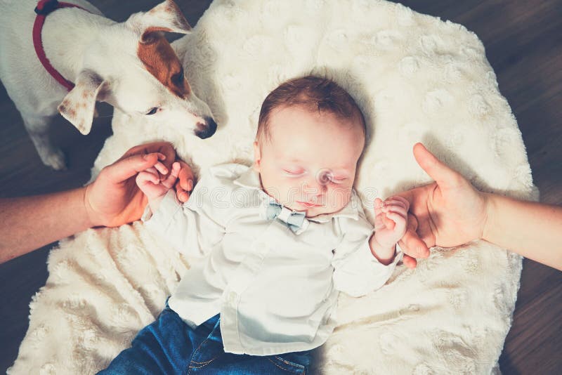 Tocco della famiglia fotografie stock libere da diritti Tocco della famiglia fotografie stock libere da diritti