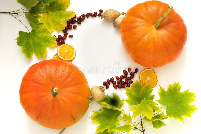 Todavía de las calabazas vida con los regalos del otoño del escaramujo, de la naranja y del estallido fotografía de archivo Todavía de las calabazas vida con los regalos del otoño del escaramujo, de la naranja y del estallido fotografía de archivo