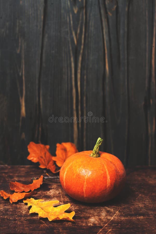 Todavía del otoño tarjeta rústica de la vida con las calabazas y las hojas en vintag foto de archivo Todavía del otoño tarjeta rústica de la vida con las calabazas y las hojas en vintag foto de archivo