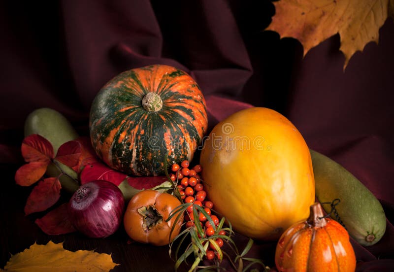 Todavía del otoño vida con la calabaza fotografía de archivo Todavía del otoño vida con la calabaza fotografía de archivo