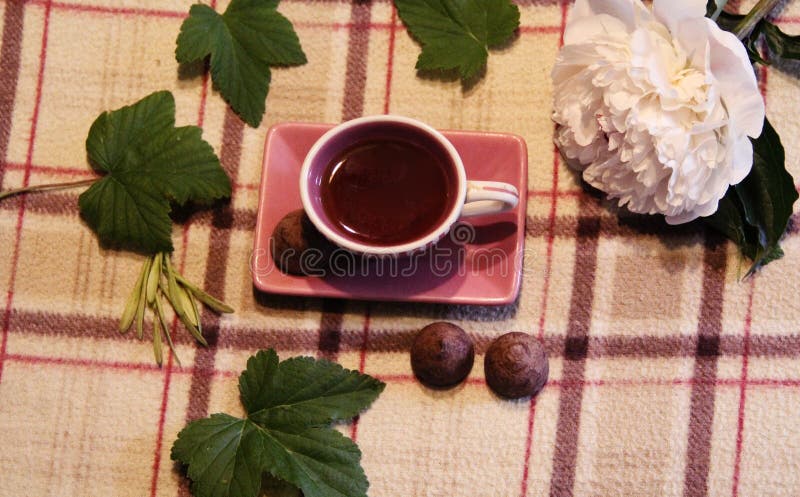 Todavía vida: Taza, hojas, peonía y caramelo imágenes de archivo libres de regalías Todavía vida: Taza, hojas, peonía y caramelo imágenes de archivo libres de regalías