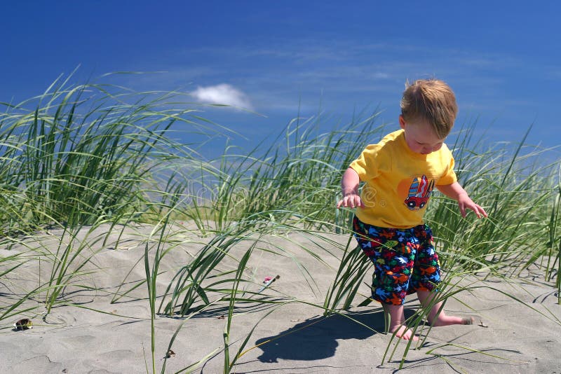 Toddler At The Beach Picture. Image 953148