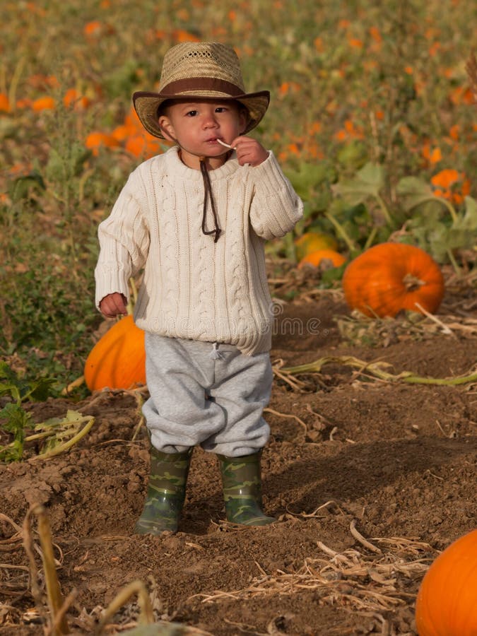 Toddler on the Farm stock photo. Image of little, sweater 21687504