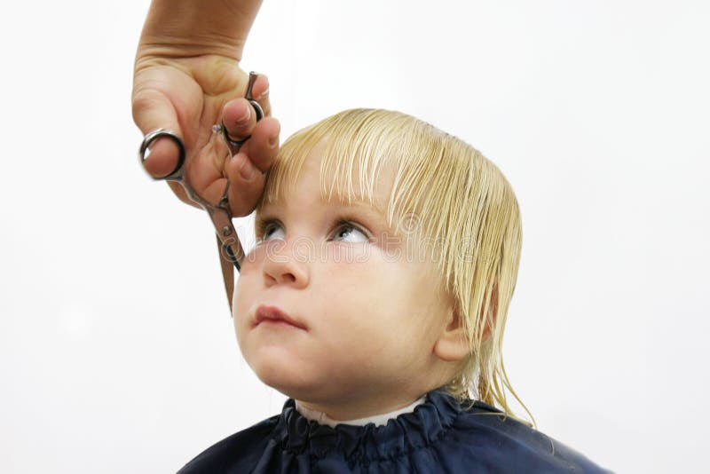 Toddler getting haircut