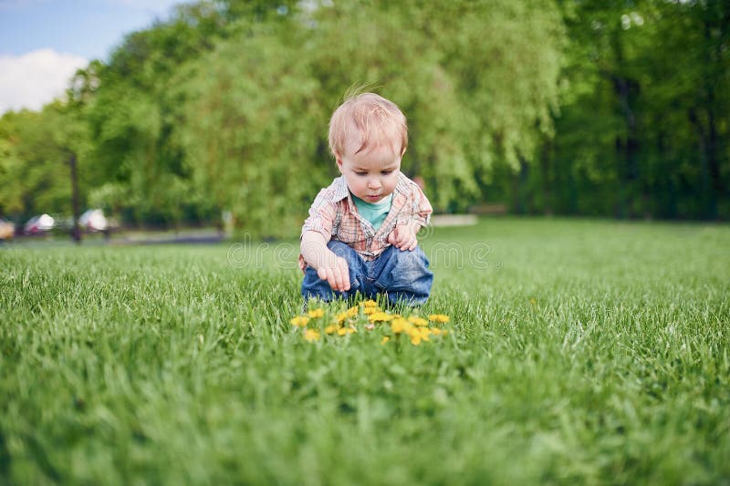 Toddler sitting on the green lawn and looks at the yellow dandelions. Sunny day royalty free stock photo Toddler sitting on the green lawn and looks at the yellow dandelions. Sunny day royalty free stock photo