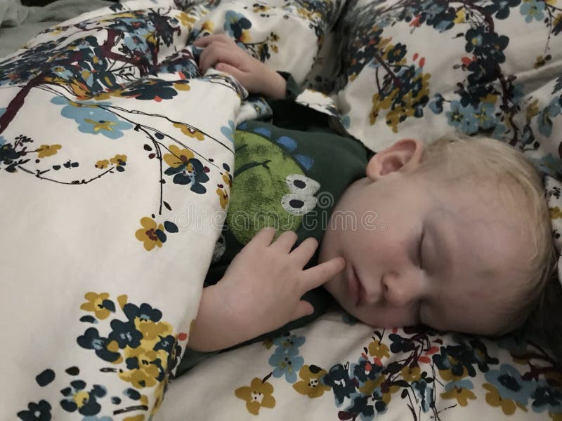 Toddler sleeping stock photography Toddler sleeping stock photography