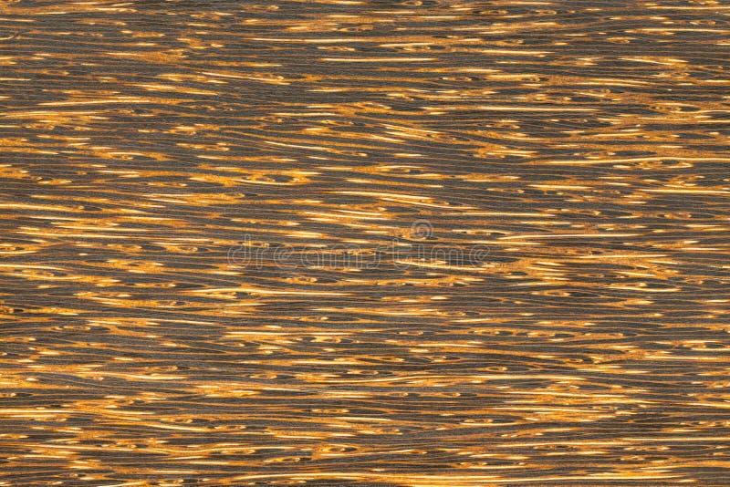 Toddy palm wood plank stock image. Image of lumber, natural 37071805