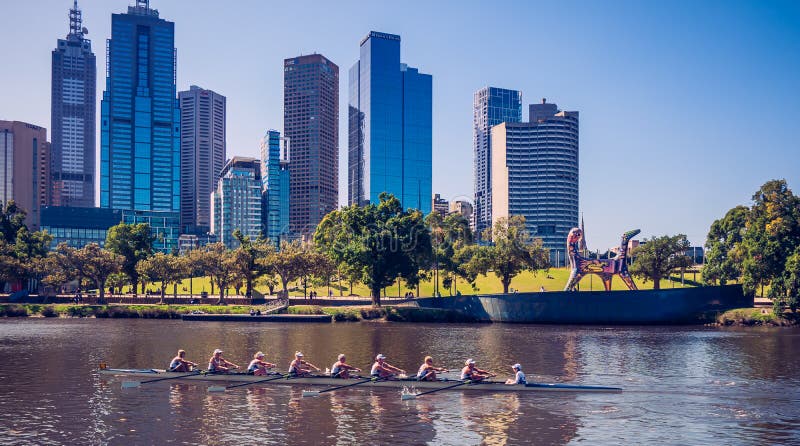 Todo el miembro de equipo del rowing en el barco está empujando su mejor en el río fotos de archivo Todo el miembro de equipo del rowing en el barco está empujando su mejor en el río fotos de archivo
