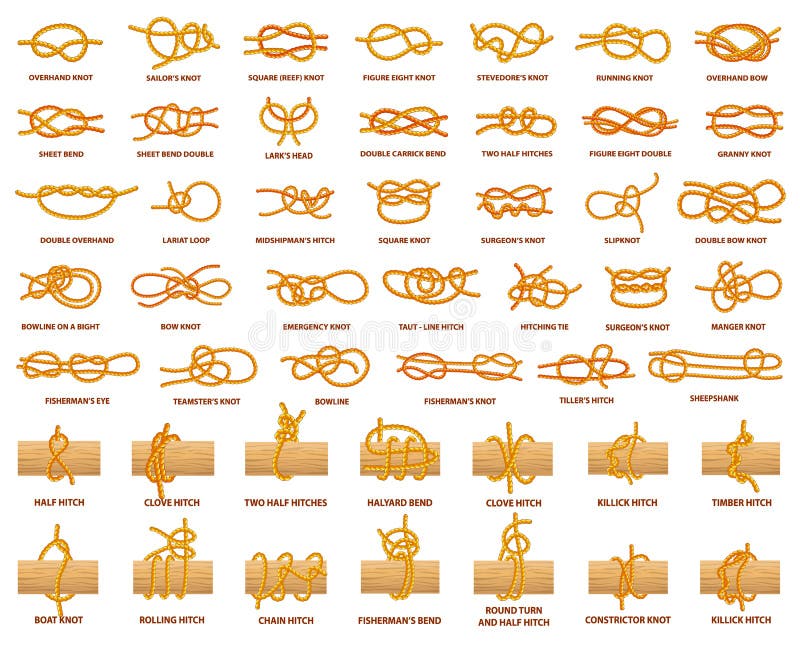 Todos Los Tipos De Nudos Demostrados Con La Cuerda Fuerte Ilustración del  Vector - Ilustración de corriendo, abuelita: 120641662