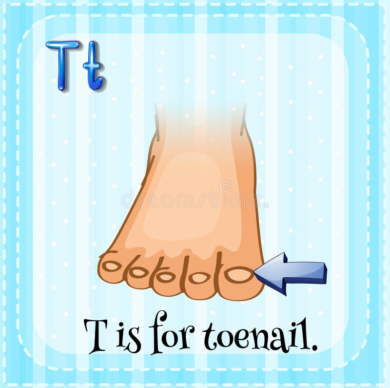 p phonetic usage 54493270 Vector Stock Toenail Image: p phonetic usage 54493270 Vector Stock Toenail Image: