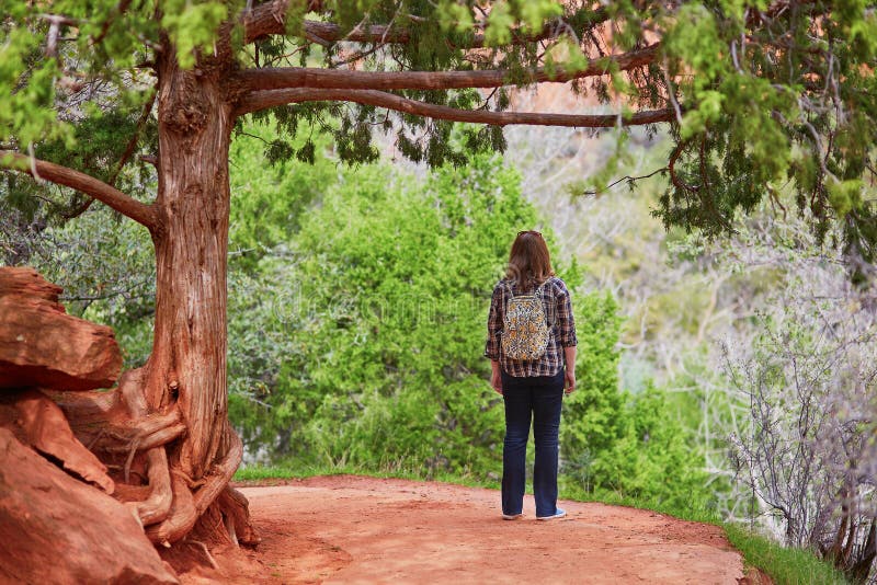 Vrouw Die Van De Mening Van Zion National Park Genieten