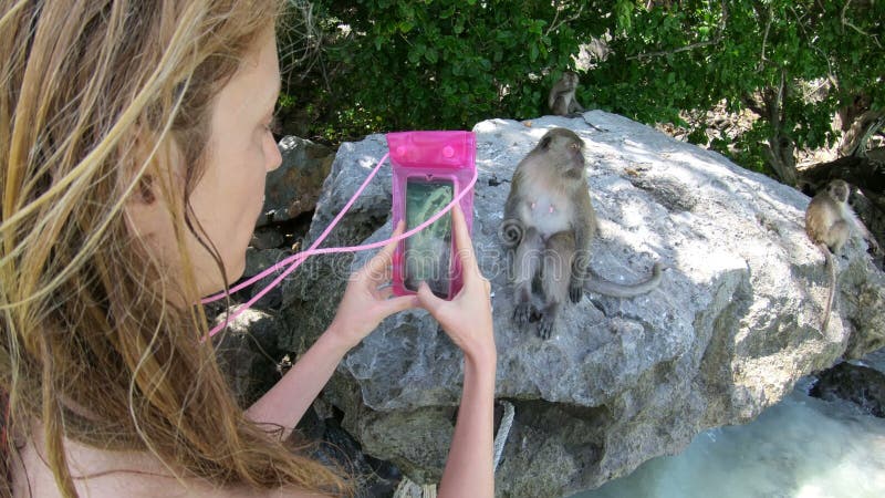 Toeristen nemen foto's op hun telefoons van wilde krabben die makaken eten op Monkey Island nabij Phi Phi Phi