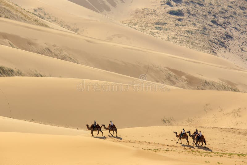 Tourists on camels in the dunes of the Gobi Desert, Mongolia. Tourists on camels in the dunes of the Gobi Desert, Mongolia.