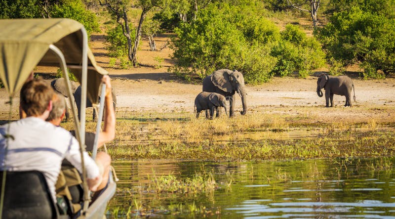 Toeristen op Olifant Safari Africa royalty-vrije stock afbeeldingen Toeristen op Olifant Safari Africa royalty-vrije stock afbeeldingen