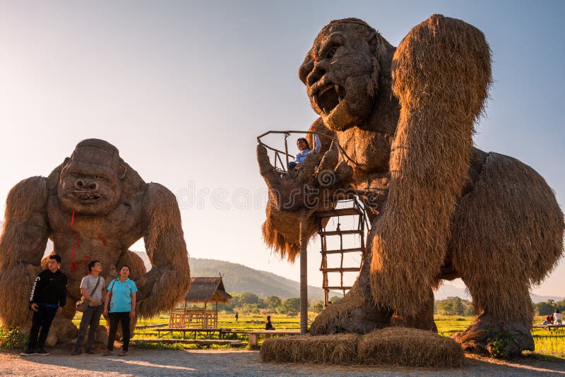 Toeristische vleerrietrietrietrietjes in het stuwmeer van Huay Tueng Thao royalty-vrije stock afbeelding Toeristische vleerrietrietrietrietjes in het stuwmeer van Huay Tueng Thao royalty-vrije stock afbeelding