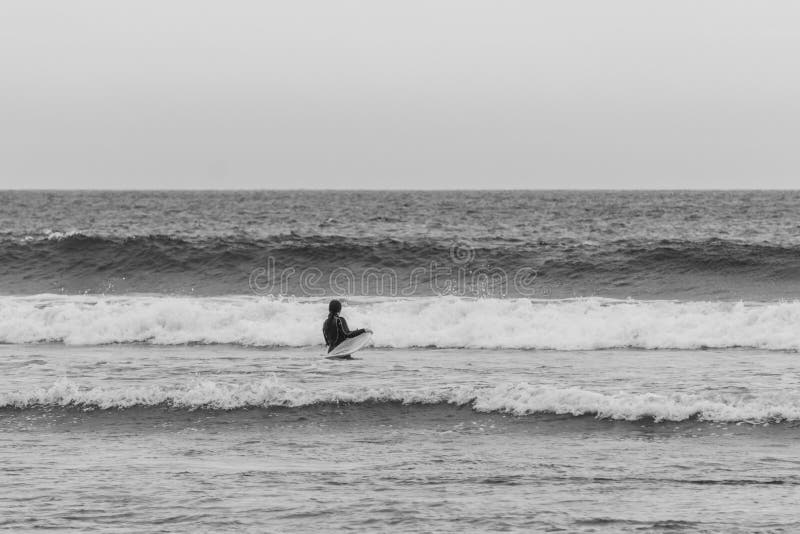TOFINO, КАНАДА - 2-ое сентября 2018: всадник серфера или волны держа surfboard на предпосылке океана стоковое изображение rf TOFINO, КАНАДА - 2-ое сентября 2018: всадник серфера или волны держа surfboard на предпосылке океана стоковое изображение rf