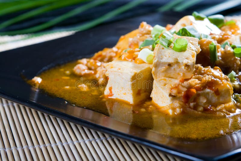 Chinese tofu stock photo. Image of lunch, green, chili - 8671390