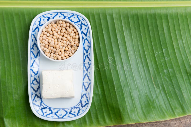 Tofu are a Good Source of Protein Stock Image Image of macro