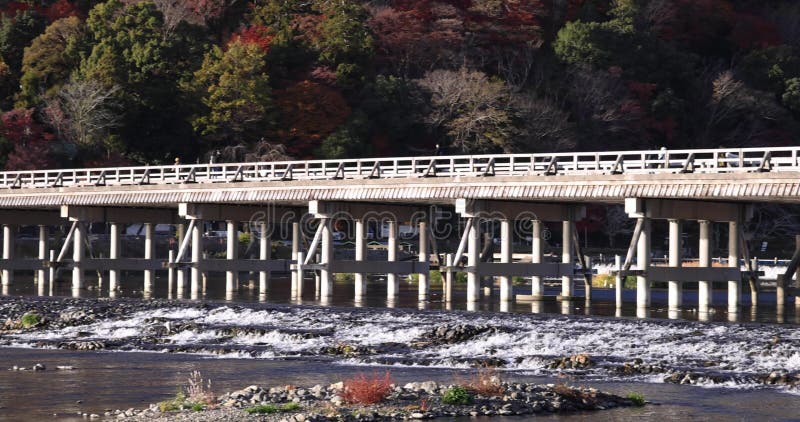 Togetsukyo bridge near Katsuragawa river in Kyoto in autumn telephoto shot panning