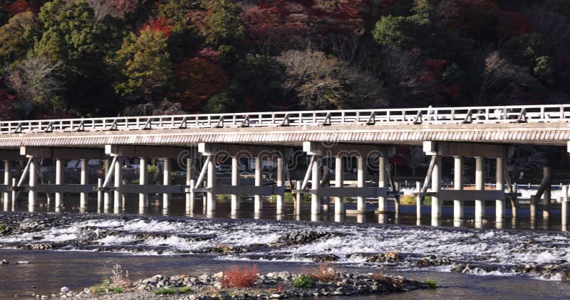 Togetsukyo bridge near Katsuragawa river in Kyoto in autumn telephoto shot panning