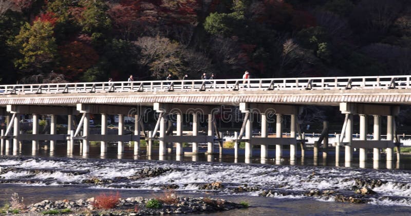 Togetsukyo bridge near Katsuragawa river in Kyoto in autumn telephoto shot panning