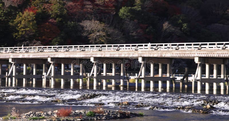 Togetsukyo bridge near Katsuragawa river in Kyoto in autumn telephoto shot panning