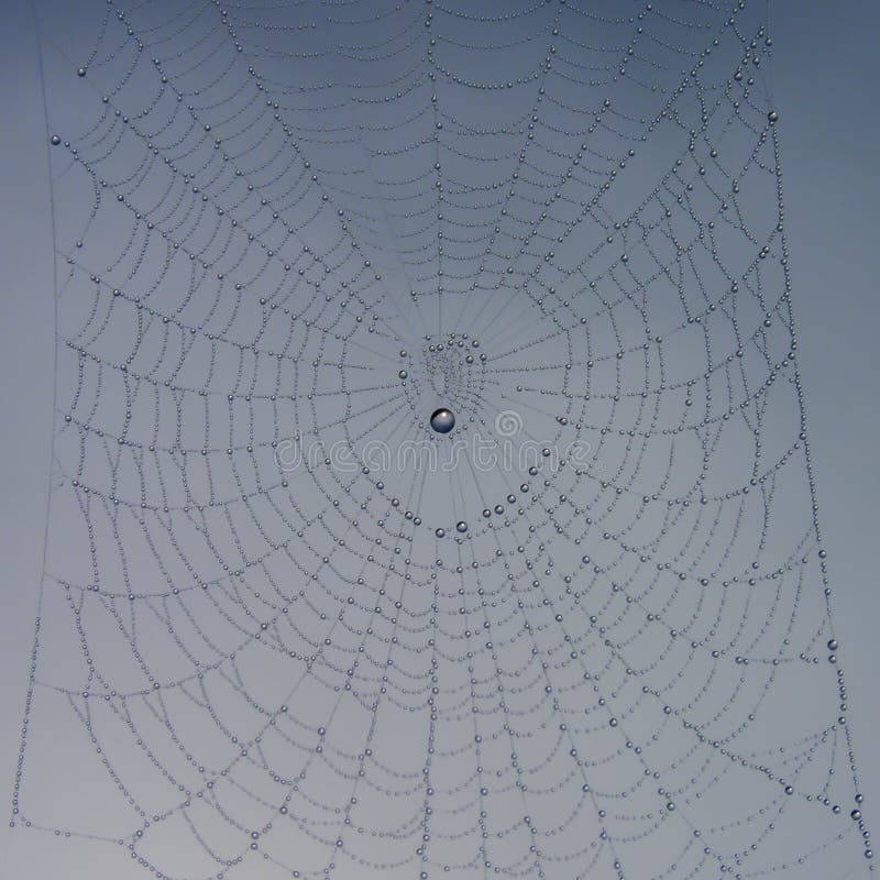 Toile d'araignée complètement des gouttes de rosée images stock Toile d'araignée complètement des gouttes de rosée images stock
