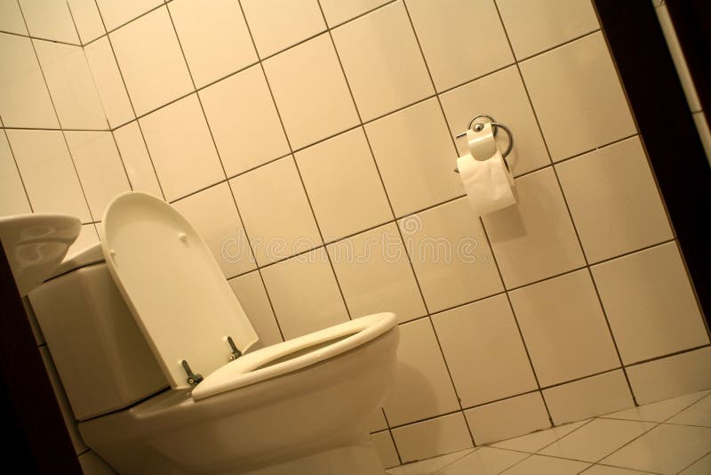 View of a toilet stock photo. Image of bathroom, inside 2972842