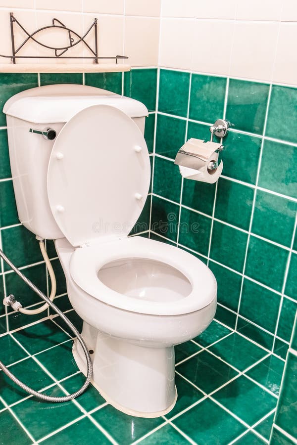 Toilet bowl stock photo. Image of latrine, comfortable 58002350