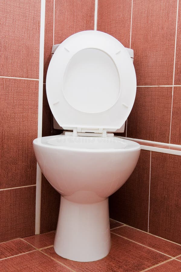 Toilet bowl in a bathroom stock image. Image of lavatory 13719645