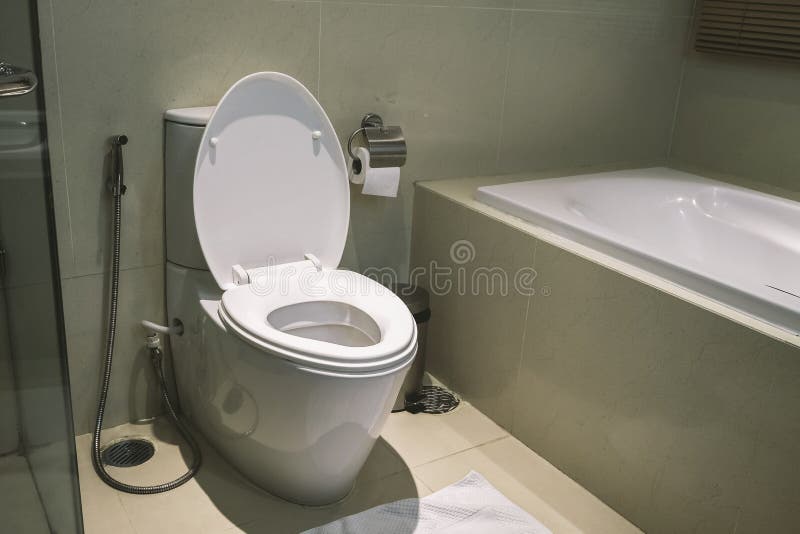 Bathtub And Toilet stock image. Image of residential 19921559