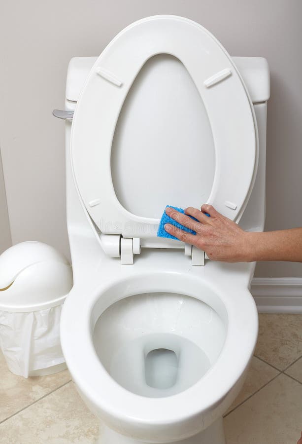 Toilet bowl cleaning. stock photo. Image of woman, scrubbing 78237124
