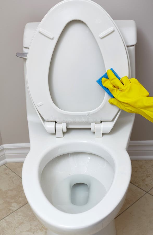 Toilet bowl cleaning. stock photo. Image of plumbing 80688332