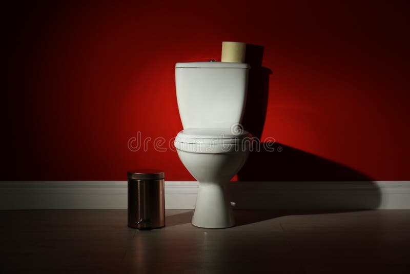 Toilet Bowl with Paper Roll and Trash Bin Stock Image Image of public