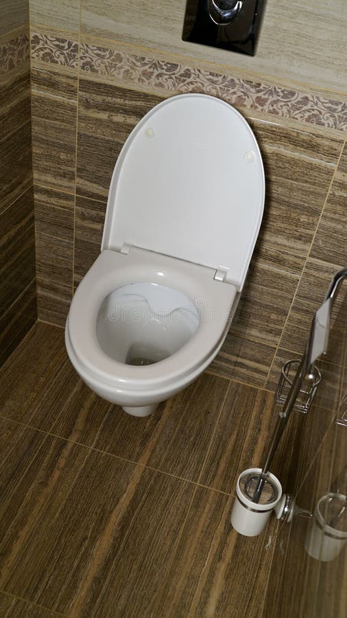 Toilet Bowl in the Toilet. Toilet in the Toilet, View from the Top