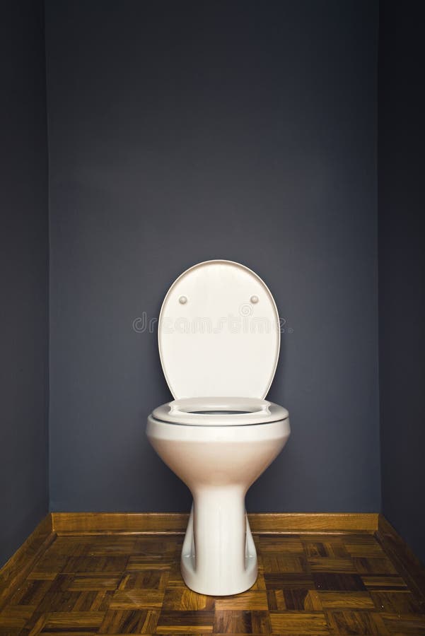 Toilet bowl stock photo. Image of clean, elegance, hotel 11089906