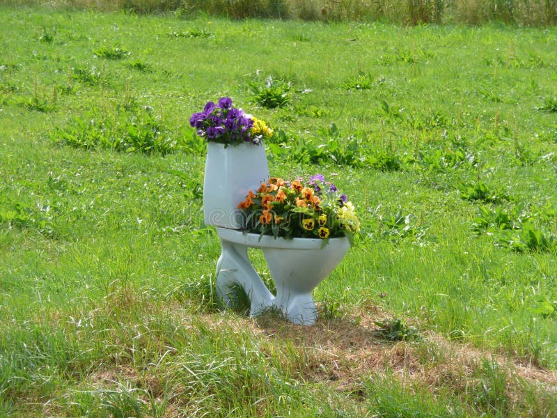Toilet stock photo. Image of yellow, grass, nature, lavatory 55597170